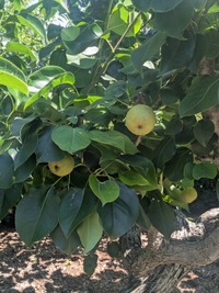 PXL_20260610_023257210