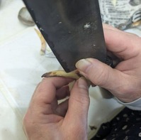 PXL_20251229_000136289