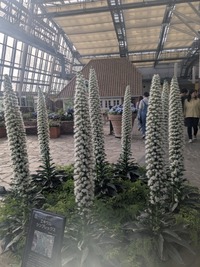 PXL_20260412_064428135