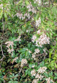 PXL_20260405_004651606~2