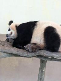 PXL_20240917_042812093