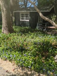 PXL_20260408_020250191