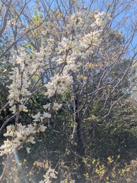PXL_20260408_014214682