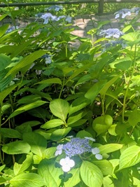 PXL_20260530_021602965~2