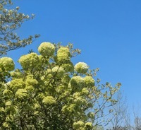 PXL_20260408_014721371~2