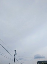 PXL_20260614_061423625~2