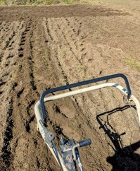 PXL_20251017_012748269~2