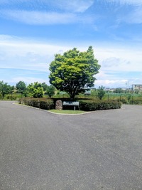 PXL_20260504_011431192~2