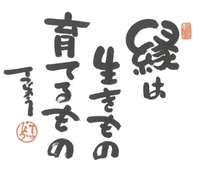 Screenshot_20251107-212800