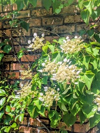 PXL_20260520_012901041~2
