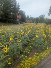 PXL_20260711_230038696