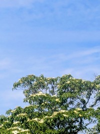 PXL_20260520_014943496~2