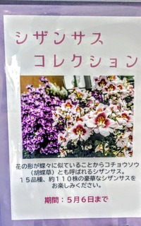 PXL_20260426_025109298~2
