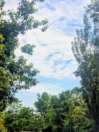 PXL_20260520_005830161~2