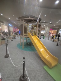 PXL_20260325_041230990~2