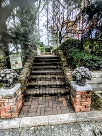 PXL_20260405_023637962~2