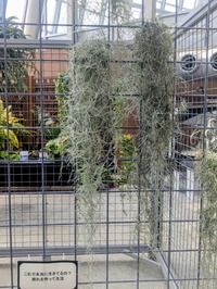 PXL_20260516_024027177~2