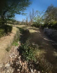 PXL_20260408_005141457~2
