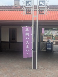 PXL_20260711_222508656