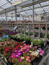 PXL_20250423_064652277