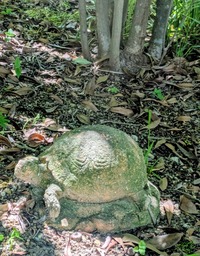 PXL_20260516_011316626~2