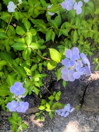 PXL_20260530_024244090~2