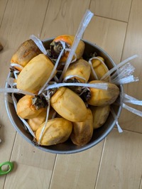 PXL_20241110_014917660