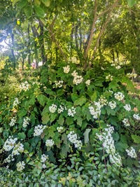 PXL_20260530_010247895~2