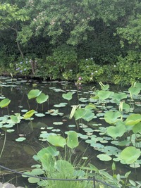 PXL_20260523_030920106