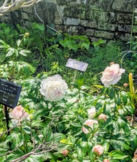 PXL_20260504_012946212~2