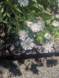 PXL_20260610_015407819