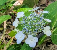 PXL_20260520_022000360~2
