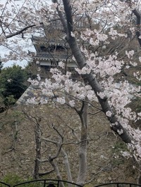 PXL_20250329_020925054