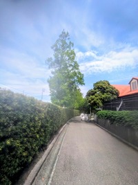 PXL_20260504_004252027~3