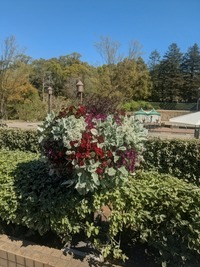 PXL_20260408_004307554~2