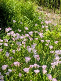 PXL_20260509_011917788~2