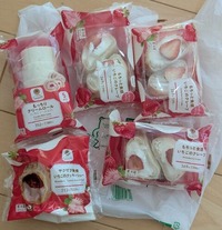 PXL_20260121_015546222