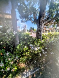 PXL_20260509_005838175~2