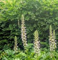 PXL_20260531_012716276~2