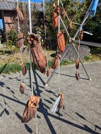 PXL_20241204_025833750