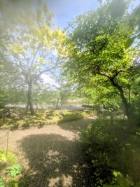 PXL_20260504_005826925~2