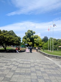 PXL_20260504_014223526~2