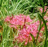 PXL_20260905_010945029~2