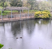 PXL_20260401_013822243~2
