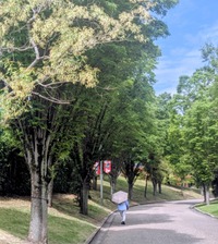 PXL_20260520_005228991~2