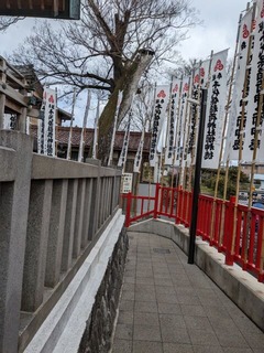 PXL_20240212_013150809