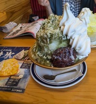 PXL_20240629_061101150~2