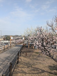 PXL_20260223_001817242