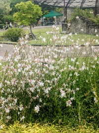 PXL_20260531_014823351~2