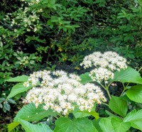 PXL_20260516_024428878~2